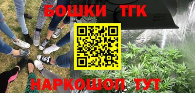 таблы Шелехов