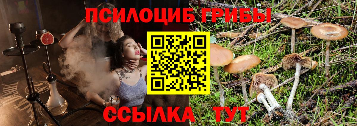 Галлюциногенные грибы мицелий  Вход с VPN  Псилоцибиновые грибы Cubensis  Ачхой-Мартан 